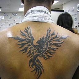 �������, ���������, 41 ���