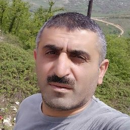 Zaur, ����, 50 ���