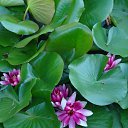 ���� Anna, ������, 60 ��� - ��������� 4 ������� 2022 � ������ ���� ����������