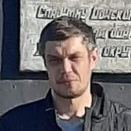 ����, ������-��-����, 41 ���