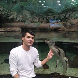 ���� ���, ������, 41 ��� - ��������� 3 ����� 2022