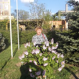 ��������, �������, 65 ���