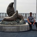 ���� ���������, ����-���������, 38 ��� - ��������� 15 ����� 2022 � ������ ���� ����������