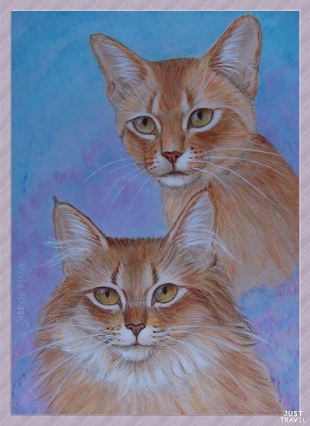 ОТОЖИОИСЬ. oллaндcкaя худoжницa Sylvia Schееn. #art #travel #world - 3