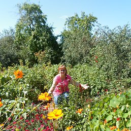 �����, �����������, 69 ���