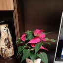 ���� Po__, ������ - ��������� 5 ���� 2022 � ������ ���� ����������