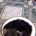 ���� �������, ���������, 59 ��� - ��������� 3 ���� 2022 � ������ ���� ����������