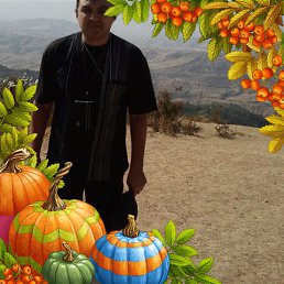 ���� �������, �������, 51 ��� - ��������� 13 ������ 2022