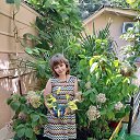 ���� ����, ���������, 36 ��� - ��������� 10 �������� 2022 � ������ ���� ����������