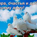 ���� ������, ������-��-����, 54 ���� - ��������� 14 ������ 2022 � ������ ����� �����!!! ���������