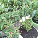 ���� ������, ��������, 51 ��� - ��������� 29 ������� 2022