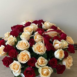 �����, ����, 48 ���