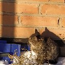 ���� ����������, ������, 58 ��� - ��������� 1 ������� 2022 � ������ ���� ����������