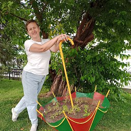 ����, �����������, 58 ���