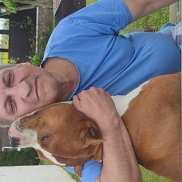 ������, ������, 62 ����