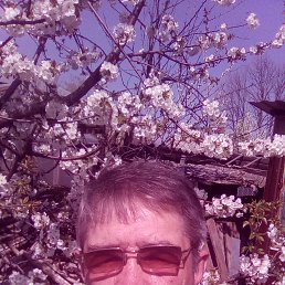 ���� �������, ���������, 63 ���� - ��������� 3 ������� 2022