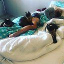 ���� ���������, �����-���������, 41 ��� - ��������� 30 �������� 2022 � ������ ���� ����������