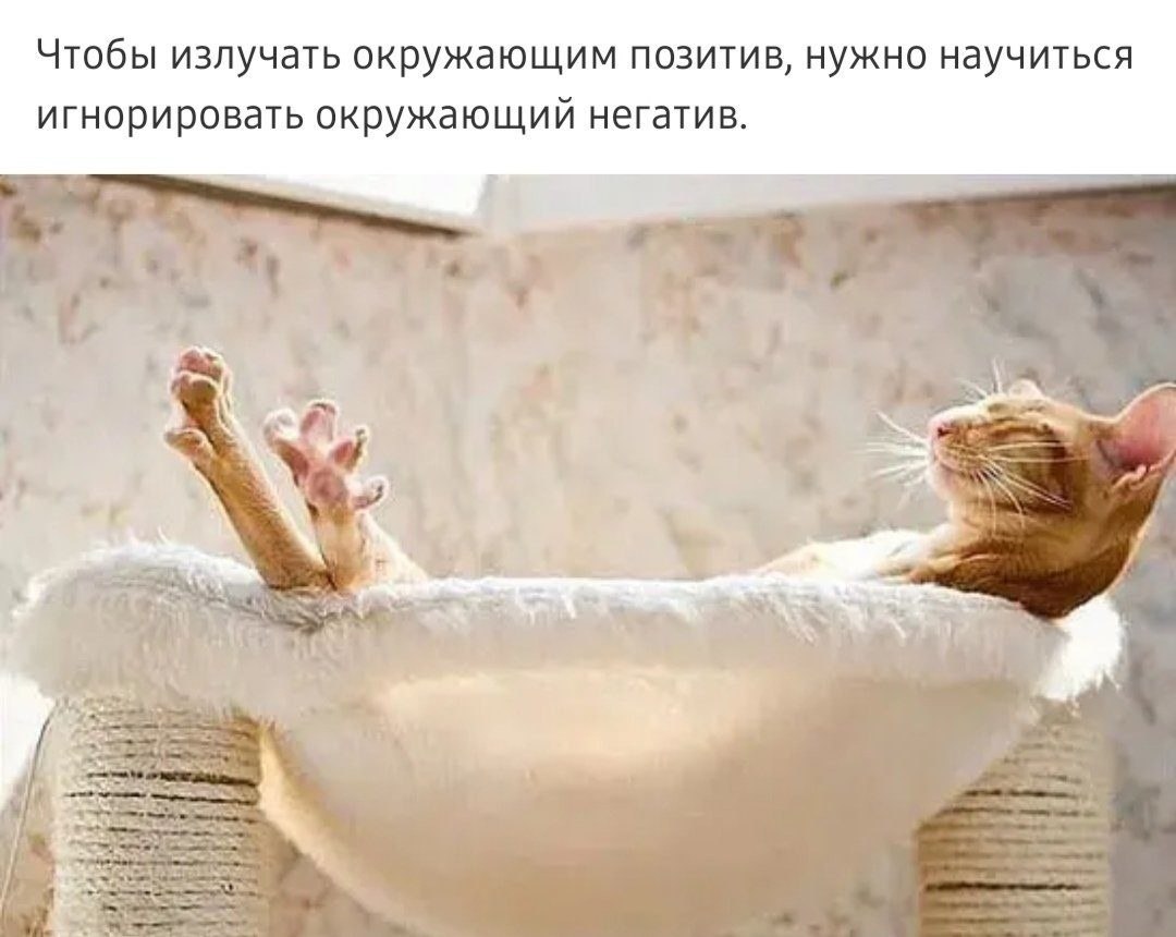   - 26  2022  02:25