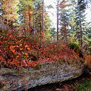 ���� ��������, ������-��-���� - ��������� 30 �������� 2022 � ������ ���� ����������