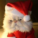 ���� ����, ������, 36 ��� - ��������� 6 ������� 2022 � ������ ���� ����������