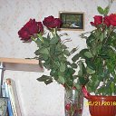 ���� �������, ��������, 67 ��� - ��������� 26 ���� 2022 � ������ ���� ����������