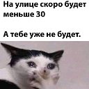  Lioness,  , 48  -  28  2022   