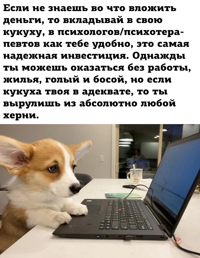  - 8  2022  09:09