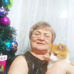 ���� �������, ��������, 66 ��� - ��������� 16 ������� 2022