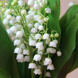 ���� �����, ��������, 65 ��� - ��������� 4 ������� 2022