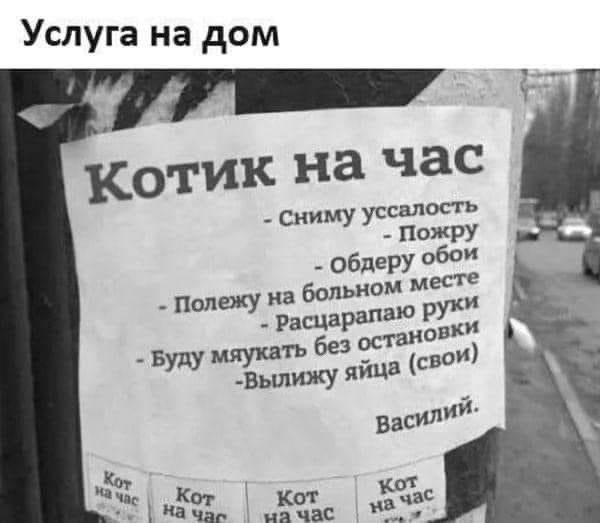     !