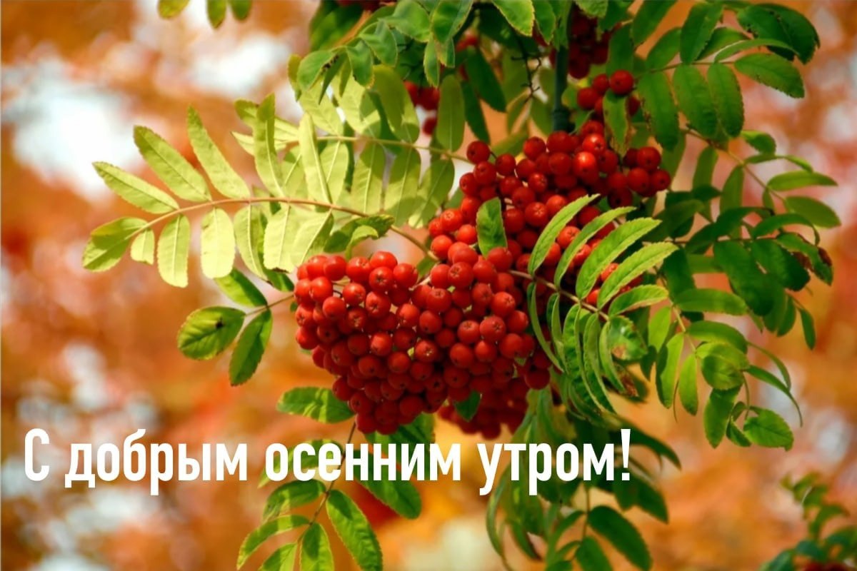 ПРИВЕТСТВИЯ и ПОЖЕЛАНИЯ, открытки на каждый день. опубликовал пост от 1  ноября 2022 в 21:07 | Фотострана | Пост №2520133309