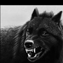  ....Lion..., , 24  -  8  2022    