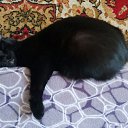 ���� ������, ��������� - ��������� 22 ������ 2022 � ������ ���� ����������