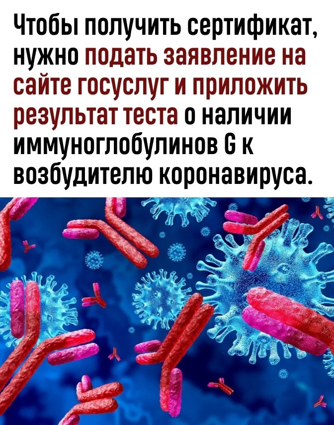    ,     - 3