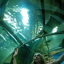  , , 56  -  29  2022   - 2022