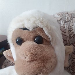 ���������, ��������, 68 ���