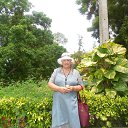 ���� �������, ������� - ��������� 29 ������ 2022 � ������ ���� ����������