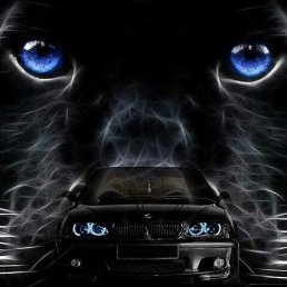 ���� ������, ������, 43 ���� - ��������� 9 ������� 2023