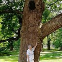 ���� �������, �����-���������, 73 ���� - ��������� 16 ������ 2022