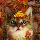 ���� Christina, ��������, 45 ��� - ��������� 29 ������ 2023