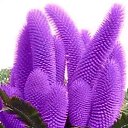 ���� ������, �����-���������, 56 ��� - ��������� 23 ������� 2022 � ������ ���� ����������