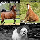 ���� Valera, �����, 49 ��� - ��������� 16 ������� 2022