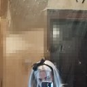 ���� ����, ������, 41 ��� - ��������� 16 ������� 2022