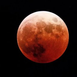 ����������, ���������, 49 ���