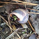 ���� ������� �, �����������, 49 ��� - ��������� 2 ������� 2022 � ������ ���� ����������