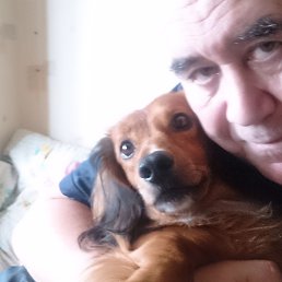 �����, ������, 55 ���