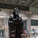 ���� ������, �����, 58 ��� - ��������� 31 ������� 2022 � ������ ���� ����������