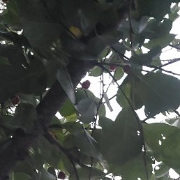 ���� ����, �����������, 60 ��� - ��������� 24 ���� 2022