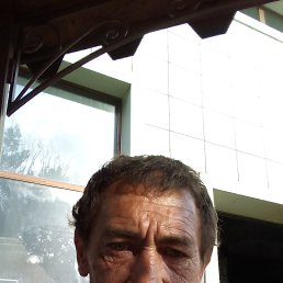 ���� �������, ������, 54 ���� - ��������� 29 ���� 2022