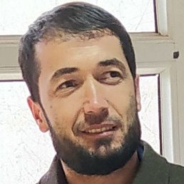 �����, �������, 37 ���